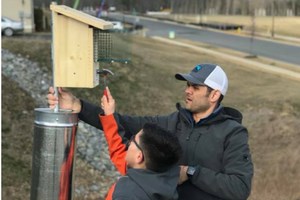 Bluebird box in Embrey Mill