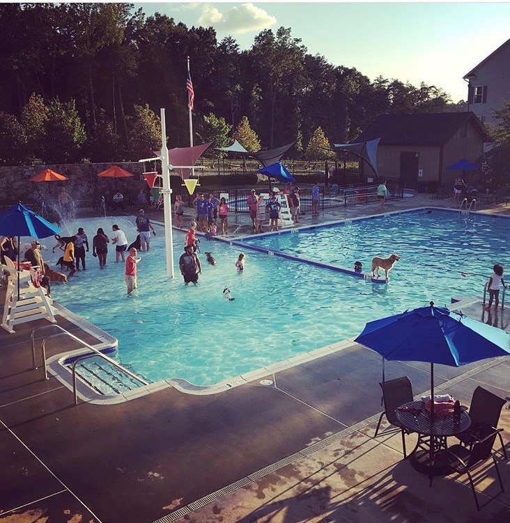 Dogs and residents enjoying doggy swim event