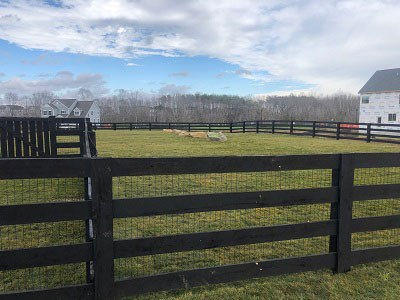 Dog Hill Downs dog park in Embrey Mill